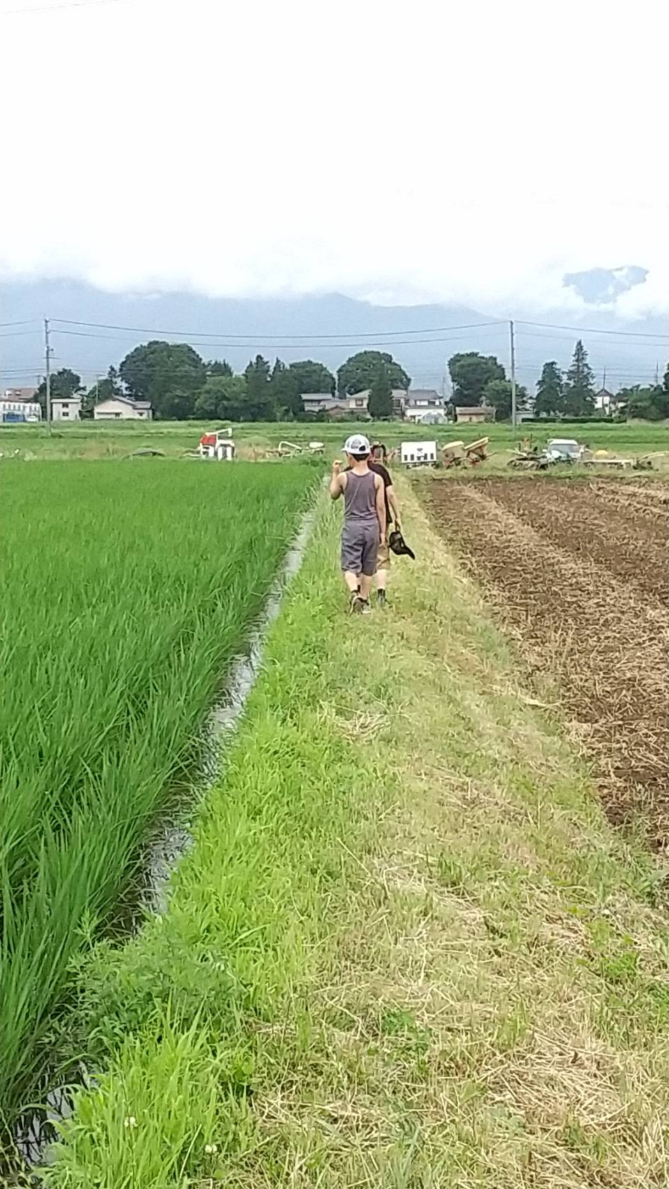 自然からのホントのマナビ