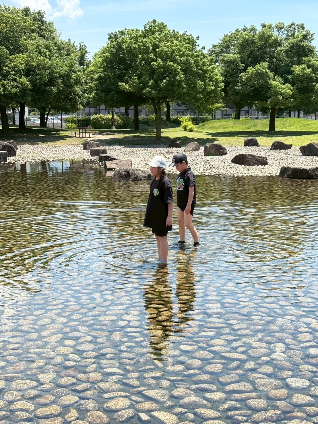 6月の校外学習in芳川公園