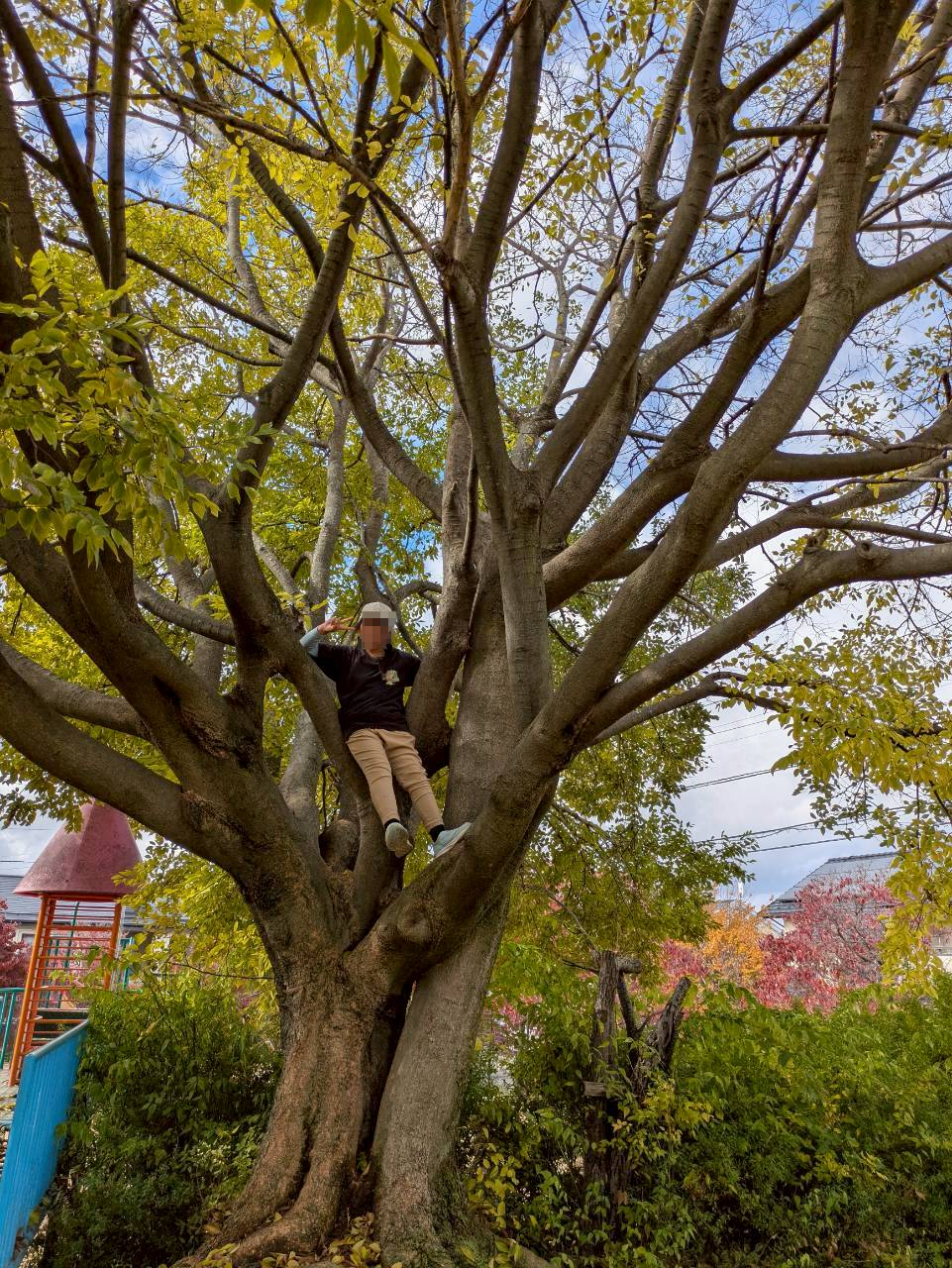 秋に映える自然と芸術